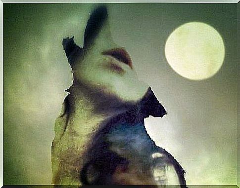 wolf howls at the moon