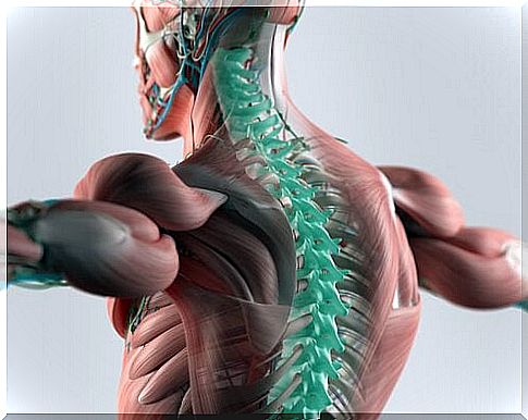 Cephalorachidian fluid: pillar of the central nervous system