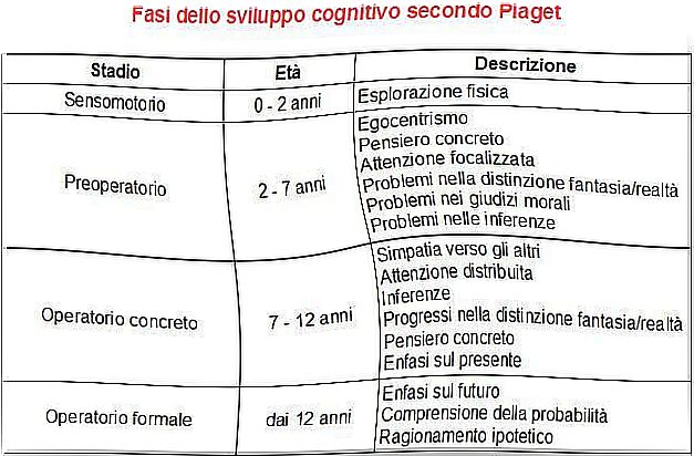 Phases of cognitive development according to Piaget