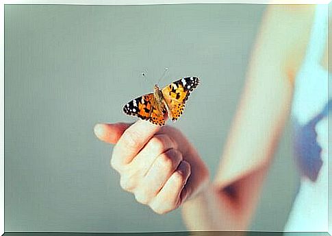 Hand with butterfly