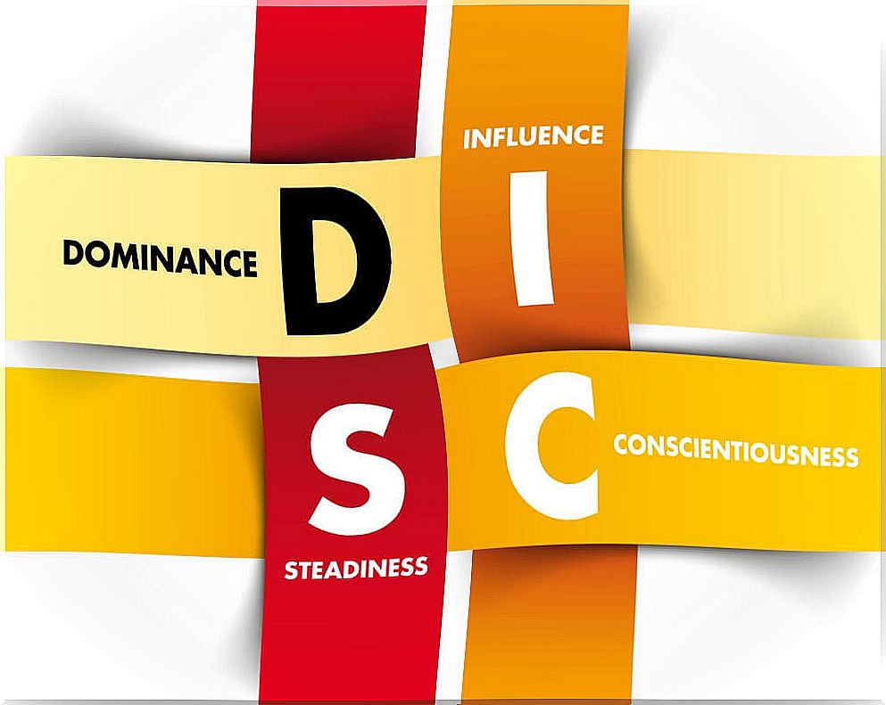 Model acronym DISC