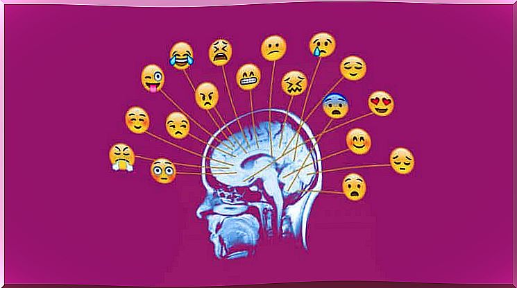 Emotions in the brain