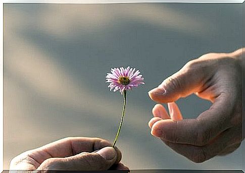 Forgiving: hand holds out a flower to another hand