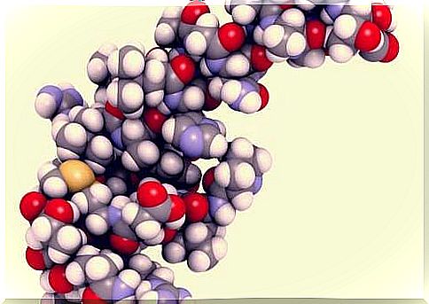 Hypocretin: characteristics and functions