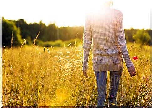 woman-in-the-countryside-with-a-poppy learn