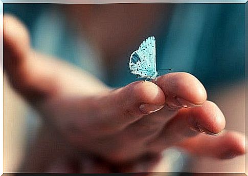 Intuition is natural and butterfly on the hand.