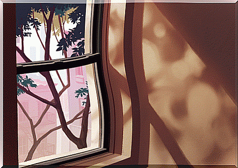 gif-window