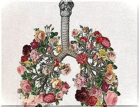 Lungs with flowers 