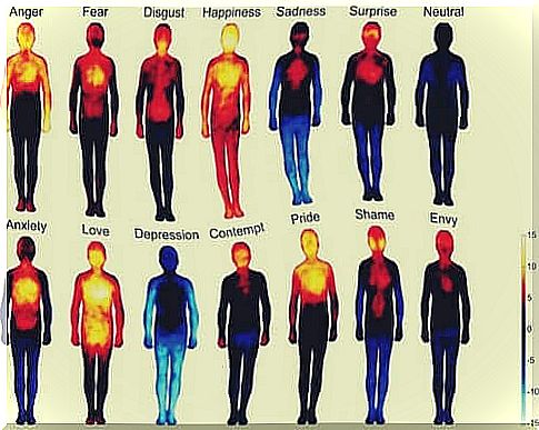 The different human emotions and somatic therapy