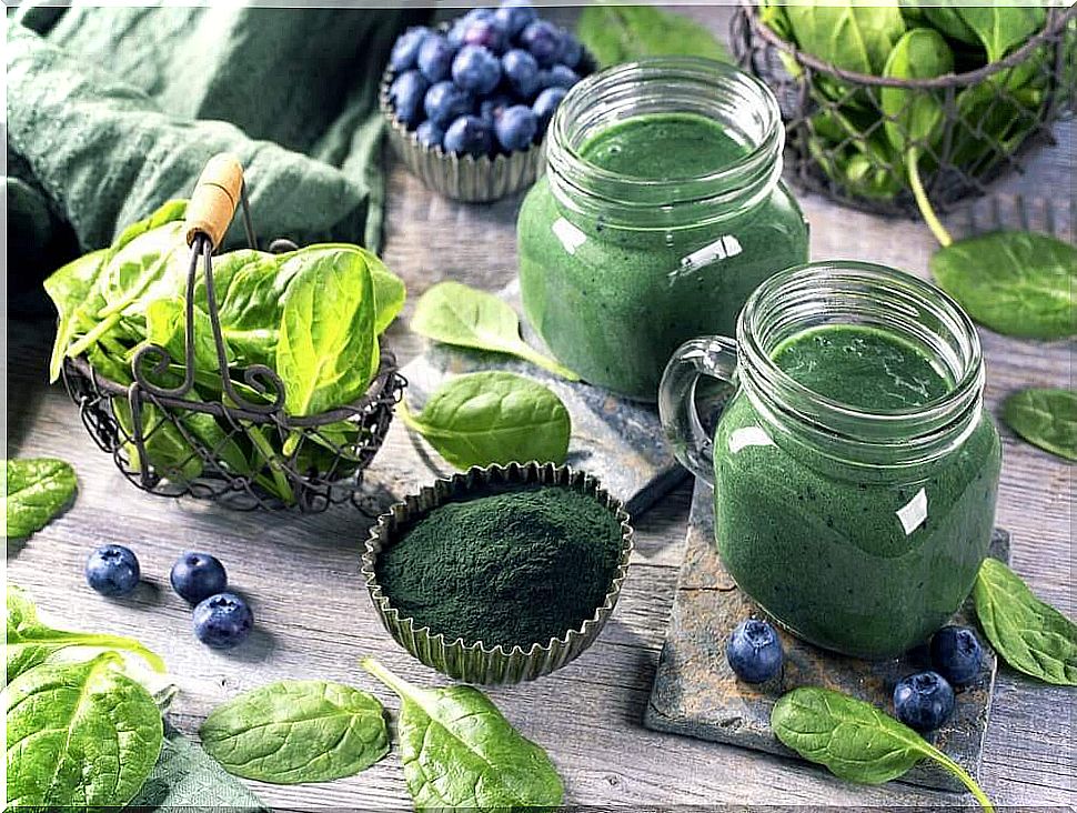 Spirulina: benefits for body and brain