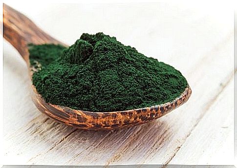 Spoonful of spirulina