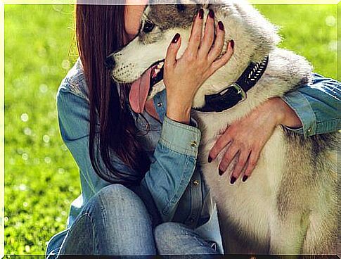 girl hugging a husky