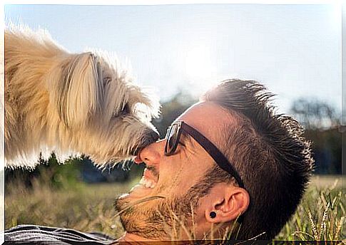 happy boy and dog